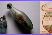 Магия с урина: Урината е една от най-древните съставки в магическата практика, използвана от векове в различни култури по света.