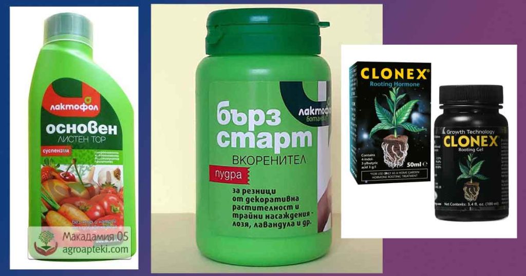 Мнения за най-добър вкоренител